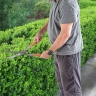 Height-hedge, 520 mm, panel blades, wooden sleeves // PALISAD