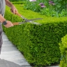 Height-hedge, 520 mm, panel blades, wooden sleeves // PALISAD