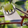 Fruit picker with cotton basket, interior diameter 110 mm // PALISAD