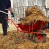 4-horned fork, hay, 210x310x1400 mm, wooden handle, Russia // Sibrtech