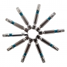 Набор бит TORX 30х50, сталь S2, 10 шт.// Gross