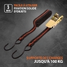 Sangle de bagage avec crochets, 5 m, cliquet Automatique// Sparta